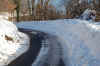 DSC_0206.JPG (88389 byte)