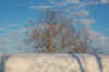 DSC_0245.JPG (108781 byte)