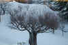 DSC_0260.JPG (132410 byte)