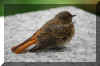 DSC_0772.JPG (443111 byte)
